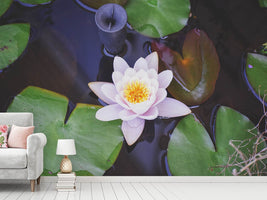 photo-wallpaper-the-lily-pad-in-white