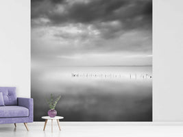 photo-wallpaper-sixty-shades-of-gray