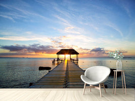 photo-wallpaper-romance-in-mauritius