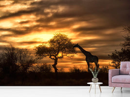 photo-wallpaper-african-dreams