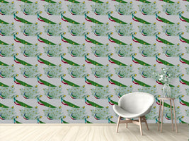 patterned-wallpaper-peacock-show