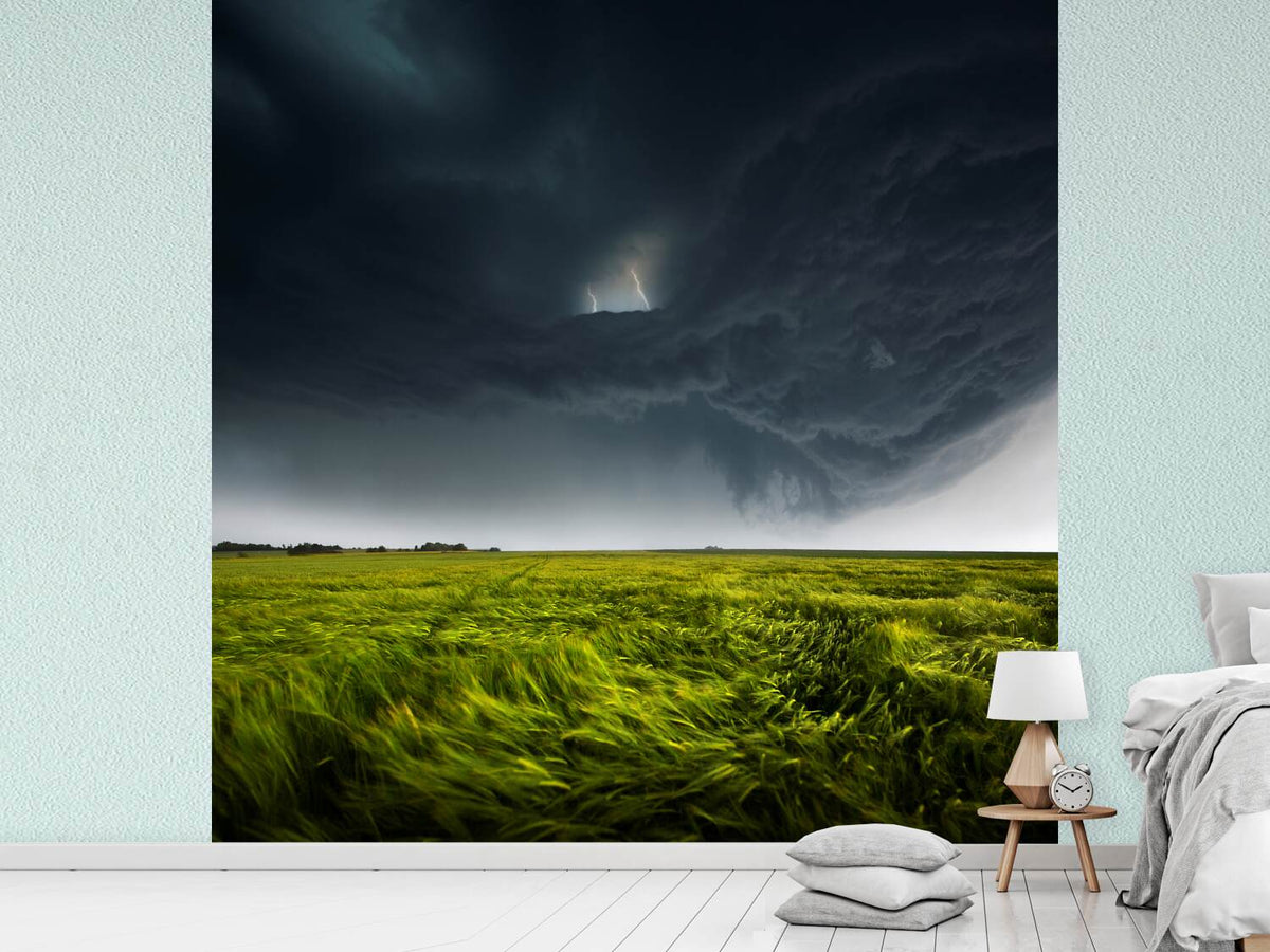 photo-wallpaper-sommergewitter-ii