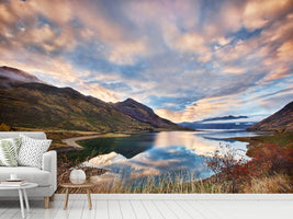 photo-wallpaper-morning-delight-at-lake-hawea