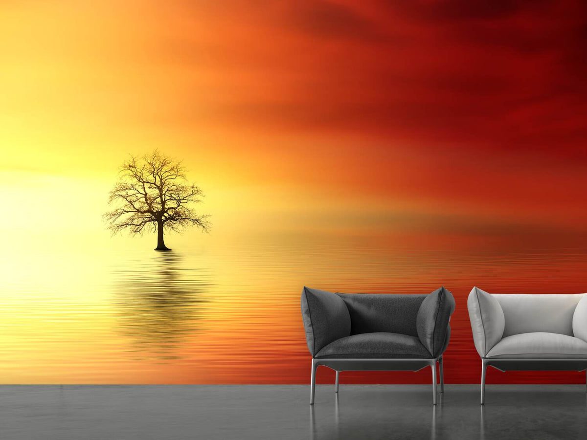 photo-wallpaper-the-tree-in-the-water