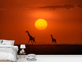 photo-wallpaper-giraffes-in-the-sunset-x