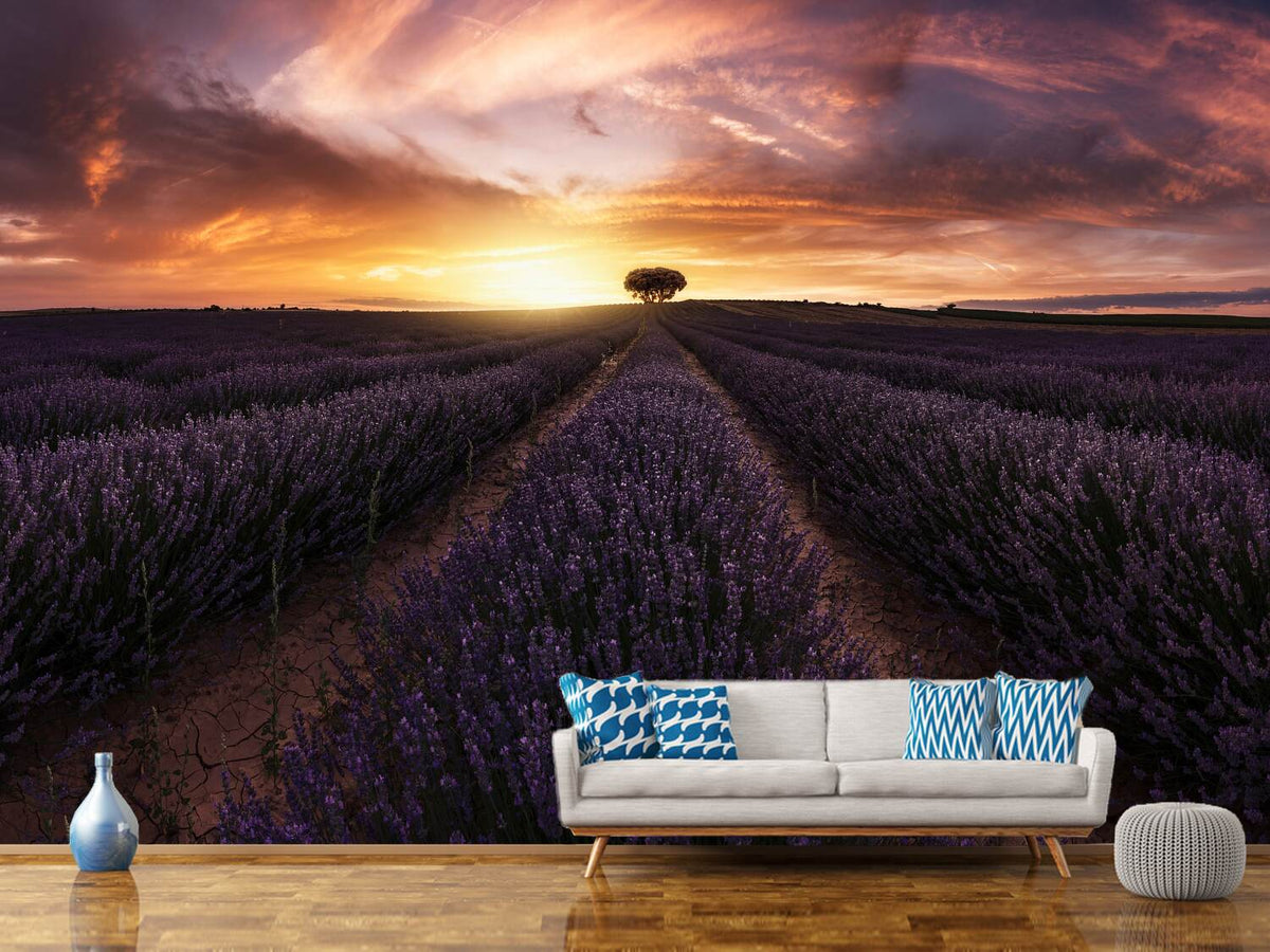 photo-wallpaper-lavender-sunset