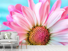 photo-wallpaper-colored-flower