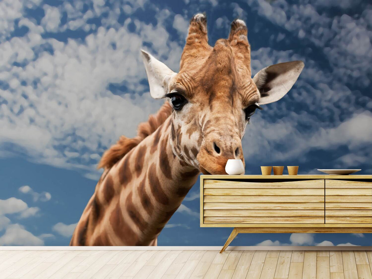 photo-wallpaper-attention-giraffe