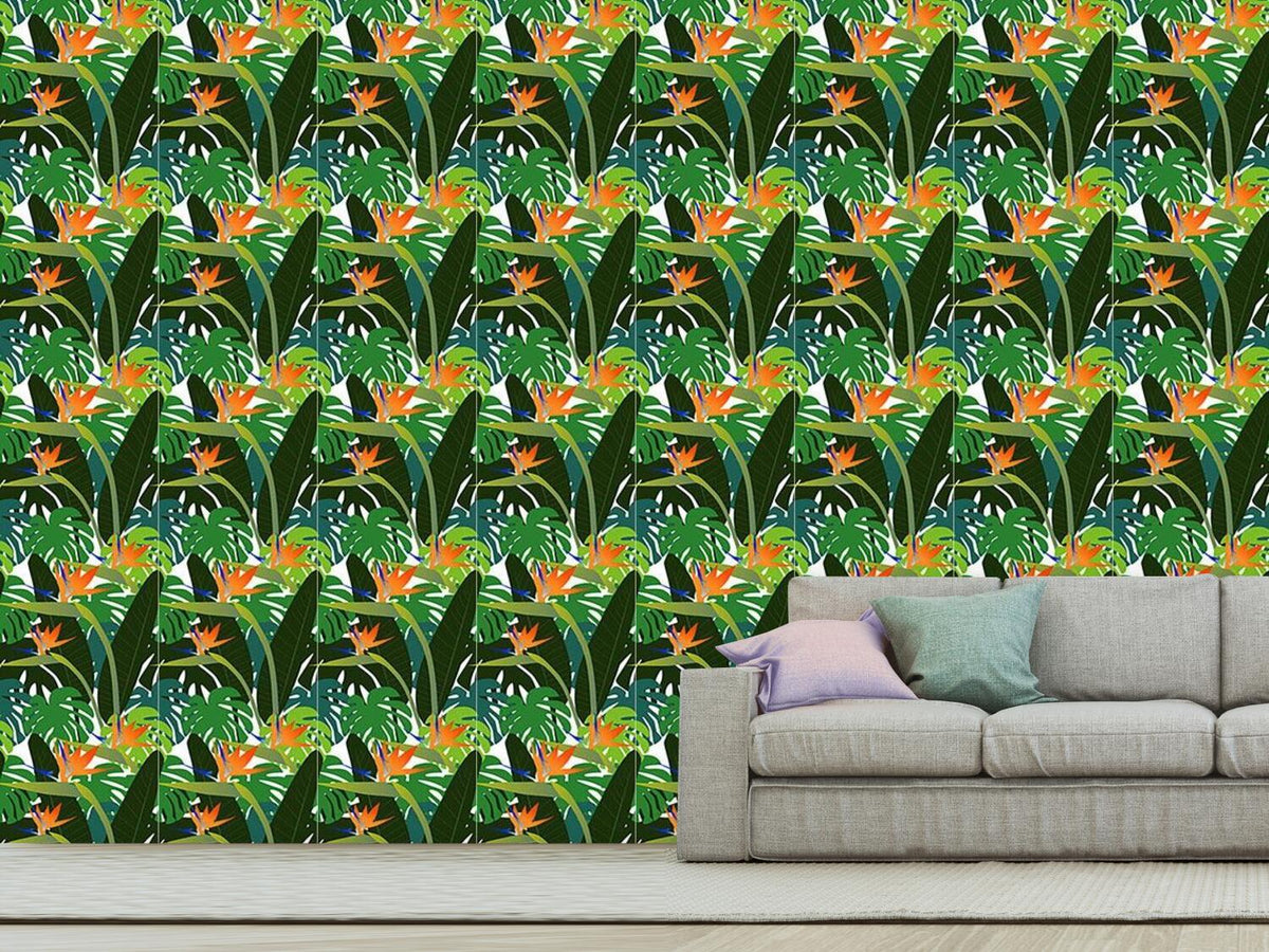 patterned-wallpaper-strelitzia