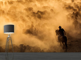 photo-wallpaper-cappadocia-wild-horses-x