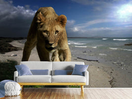 photo-wallpaper-a-lioness-on-the-beach