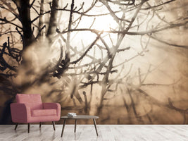 photo-wallpaper-branches-in-fog-light