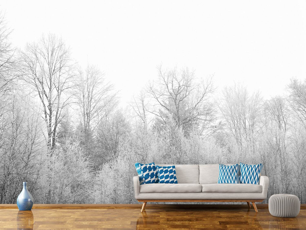 photo-wallpaper-birches-in-the-snow