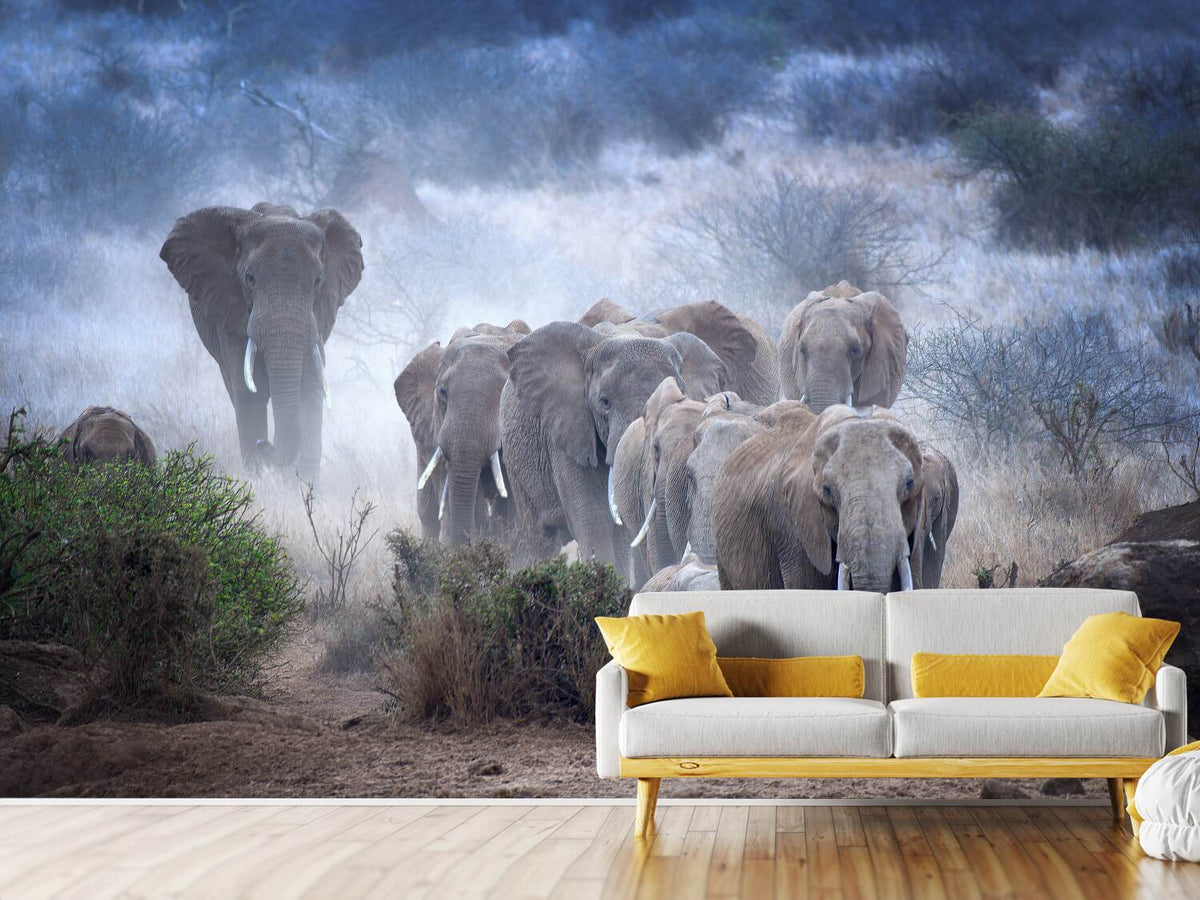 photo-wallpaper-elephants-of-amboseli-x