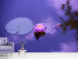 photo-wallpaper-lotus-flower