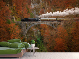 photo-wallpaper-museum-train