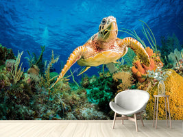 photo-wallpaper-turtle-in-the-reef