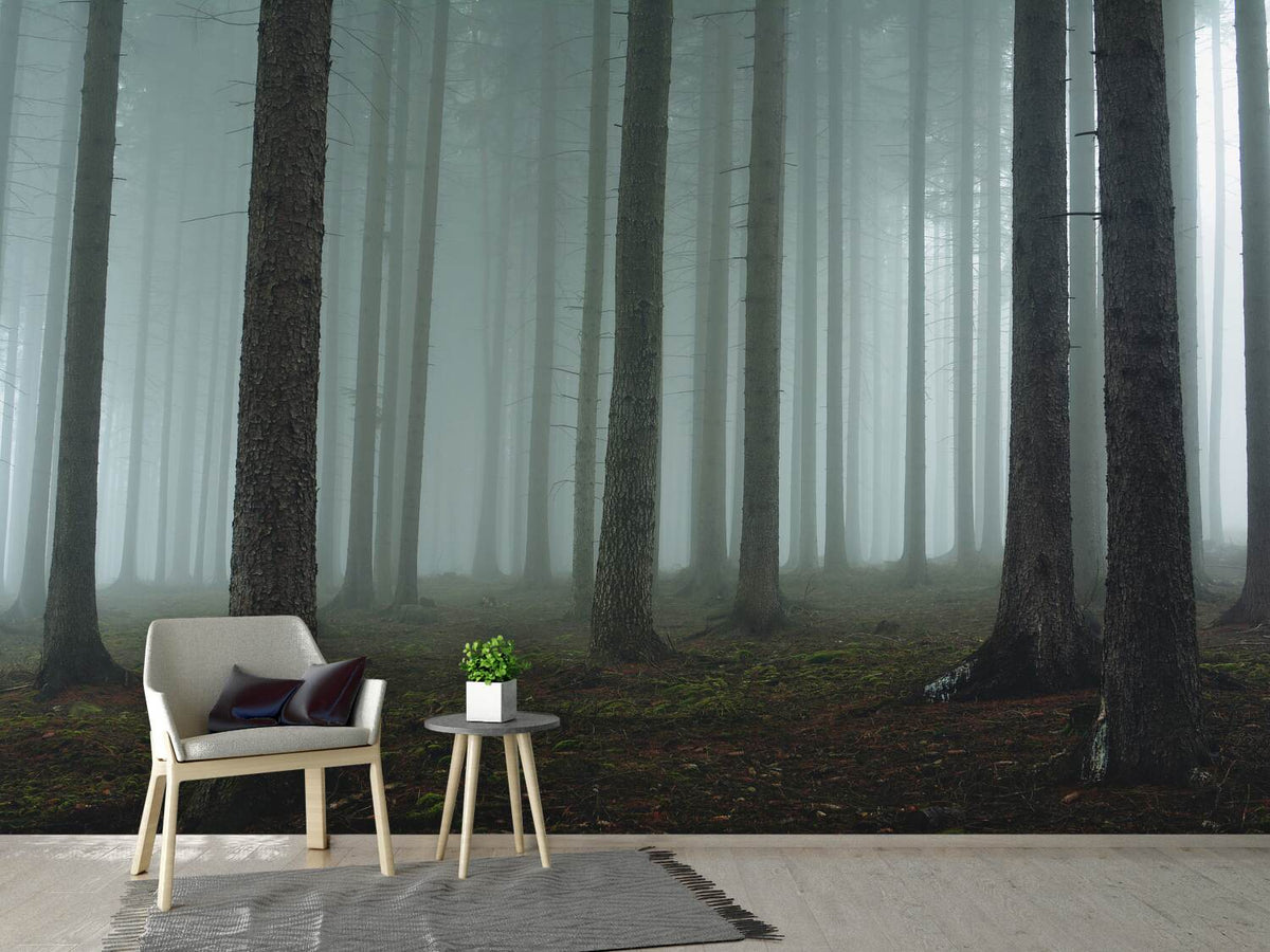 photo-wallpaper-foggy-forest-xcg