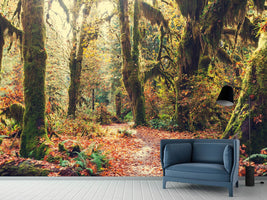 photo-wallpaper-fairies-forest