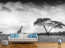 photo-wallpaper-and-i-dreamed-of-africa-x