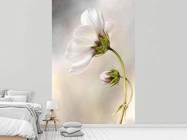 photo-wallpaper-heavenly-cosmos