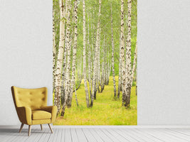 photo-wallpaper-the-birch-forest-in-late-summer