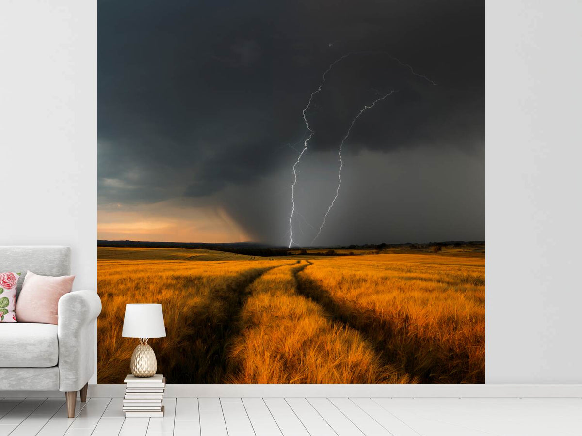 photo-wallpaper-wetterfront