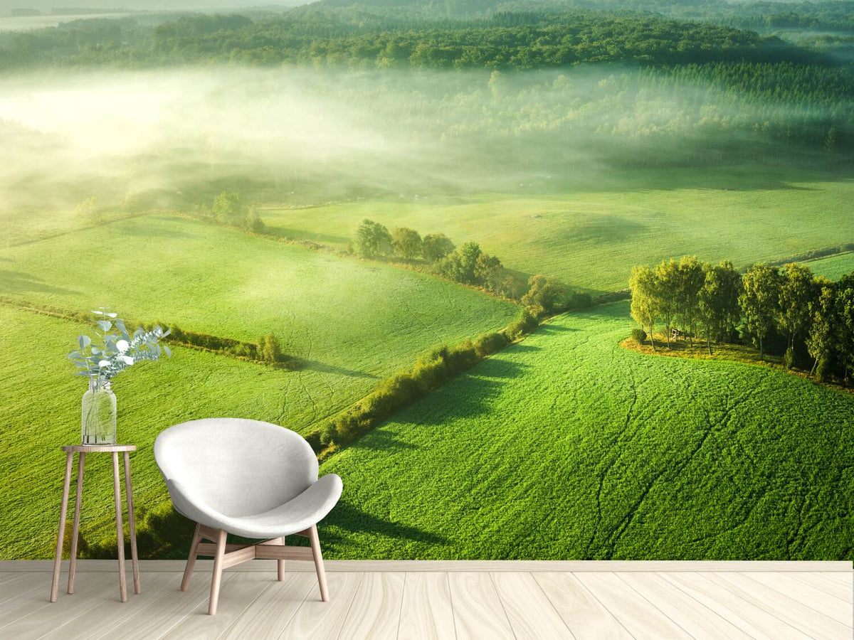 photo-wallpaper-above-the-mist-x