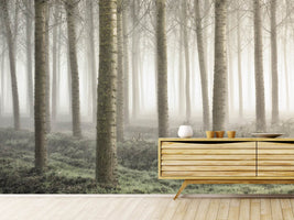 photo-wallpaper-small-woodland