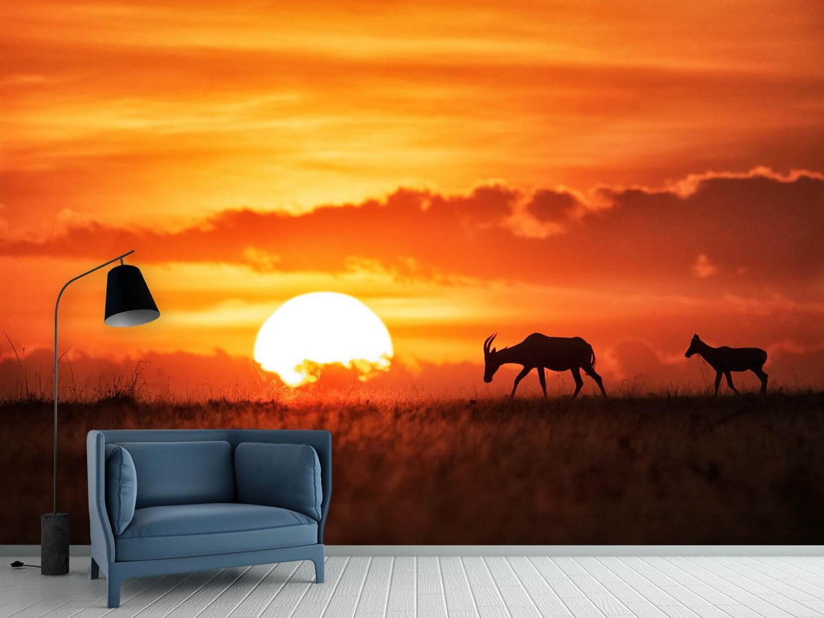 photo-wallpaper-sun-rise-x