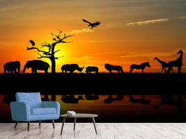 photo-wallpaper-safari-animals-at-sunset