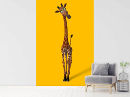 photo-wallpaper-sweety-giraffes