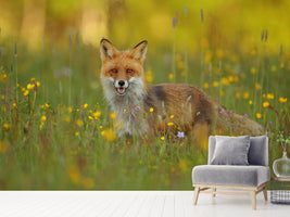 photo-wallpaper-red-fox-xkh