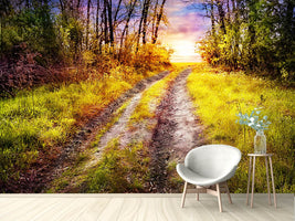 photo-wallpaper-the-forest-path